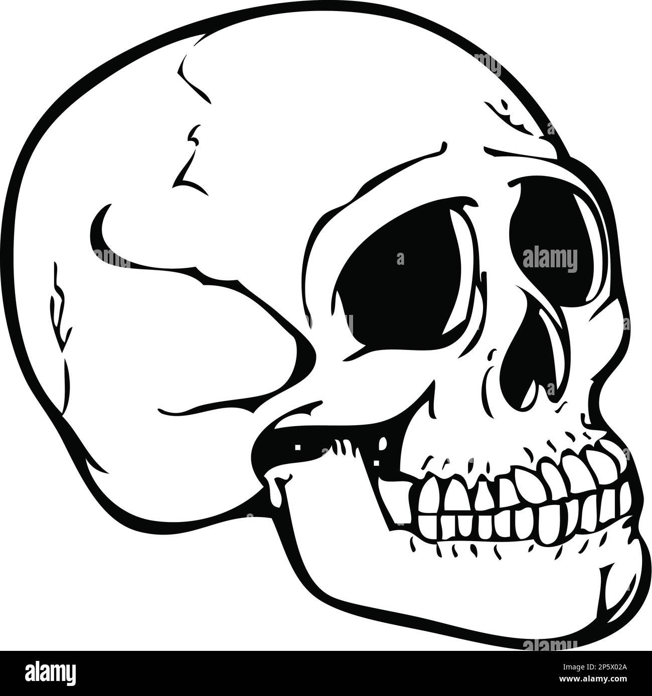 Skull Black and White Illustration Stock Photo - Alamy