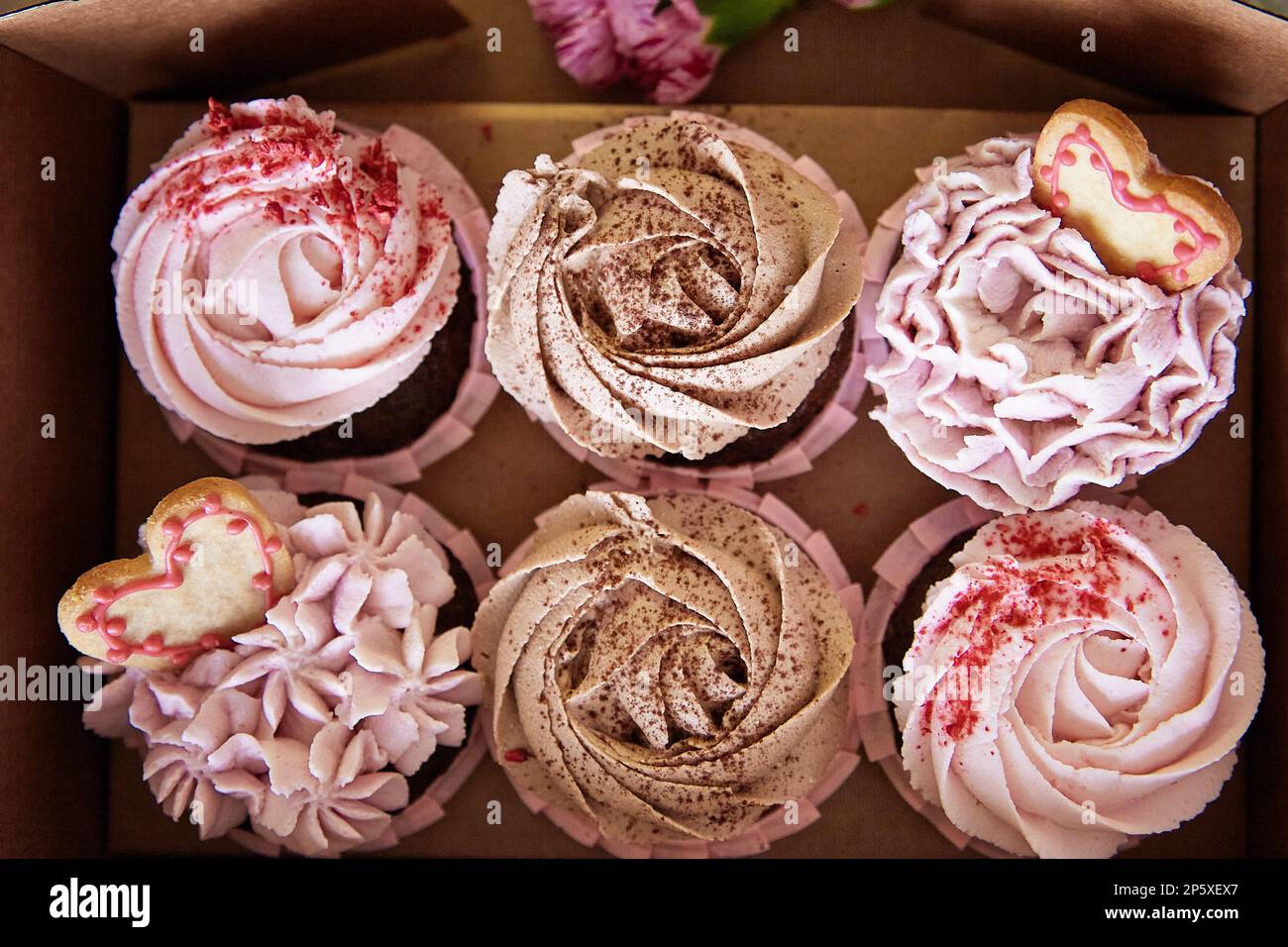 Floral aesthetic cupcakes. Dreamy french pastel desserts top view