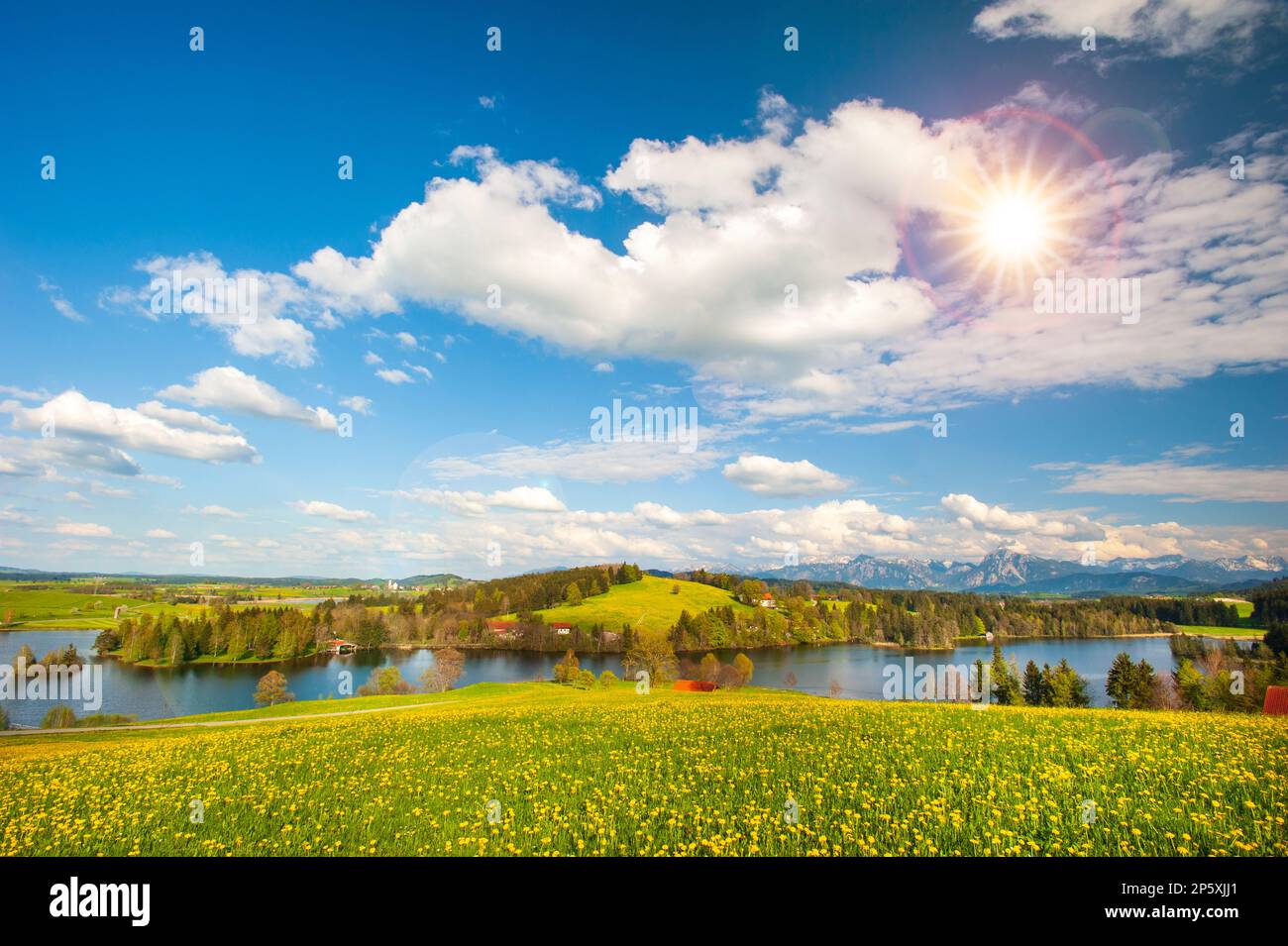 panoramic view to rural landscape with mountain range and meadow at springtime Stock Photo