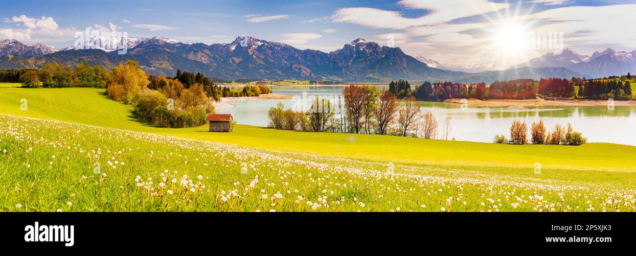 panoramic view to rural landscape with mountain range and meadow at springtime Stock Photo