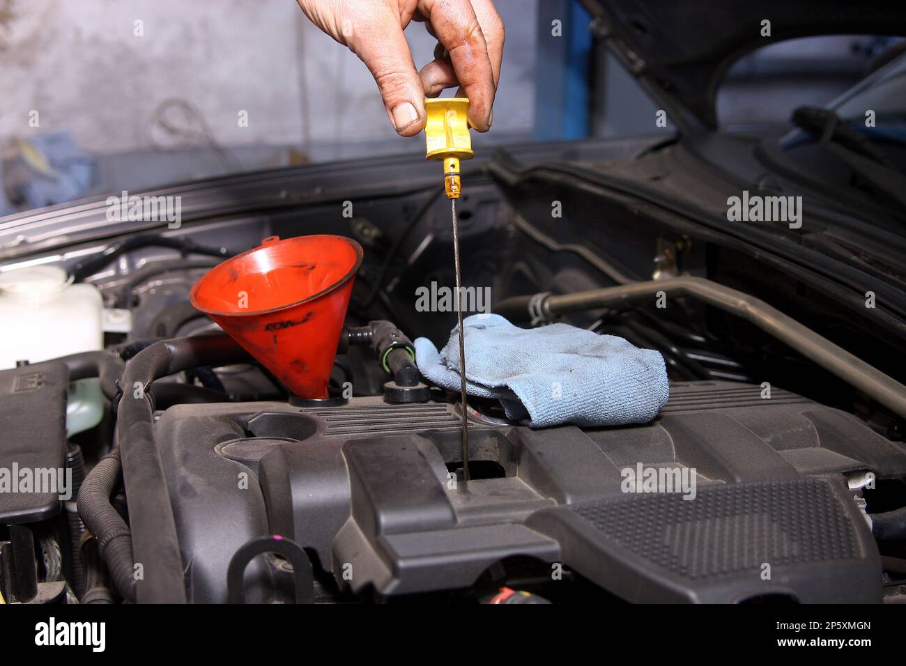 changing the oil in the car, controlling the oil level Stock Photo Alamy
