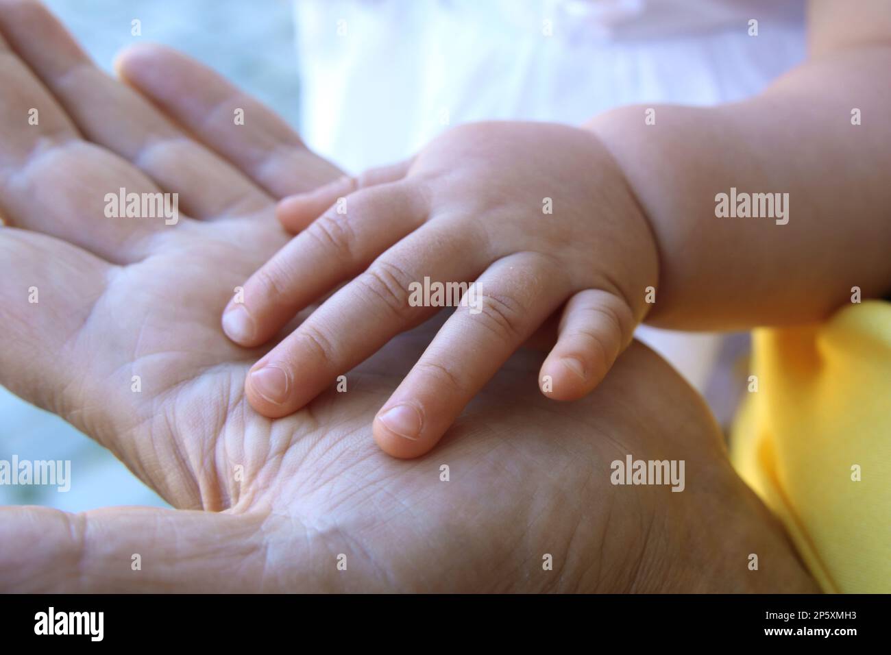 baby's hand in the hand of the mother Stock Photo