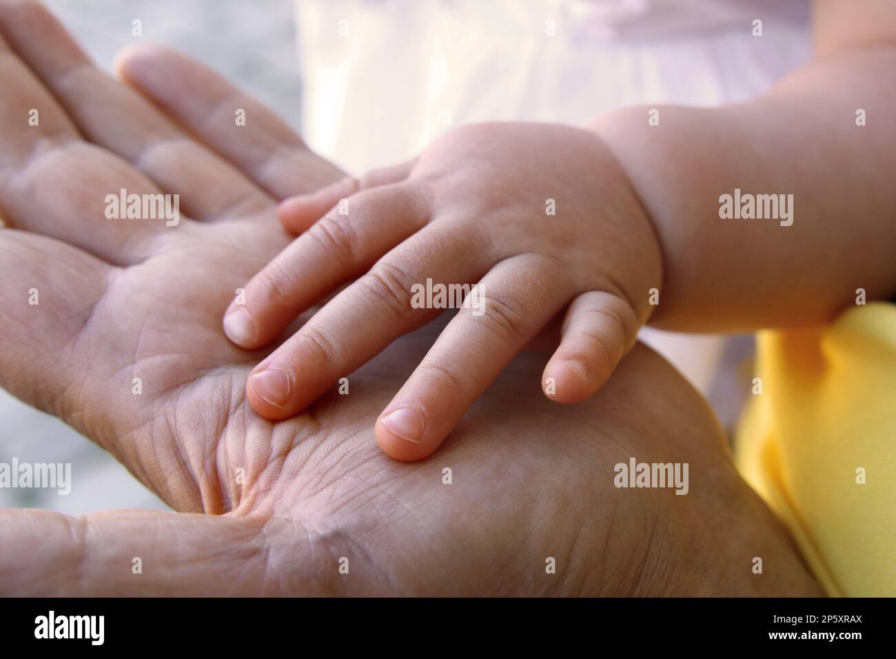 baby's hand in the hand of the mother Stock Photo