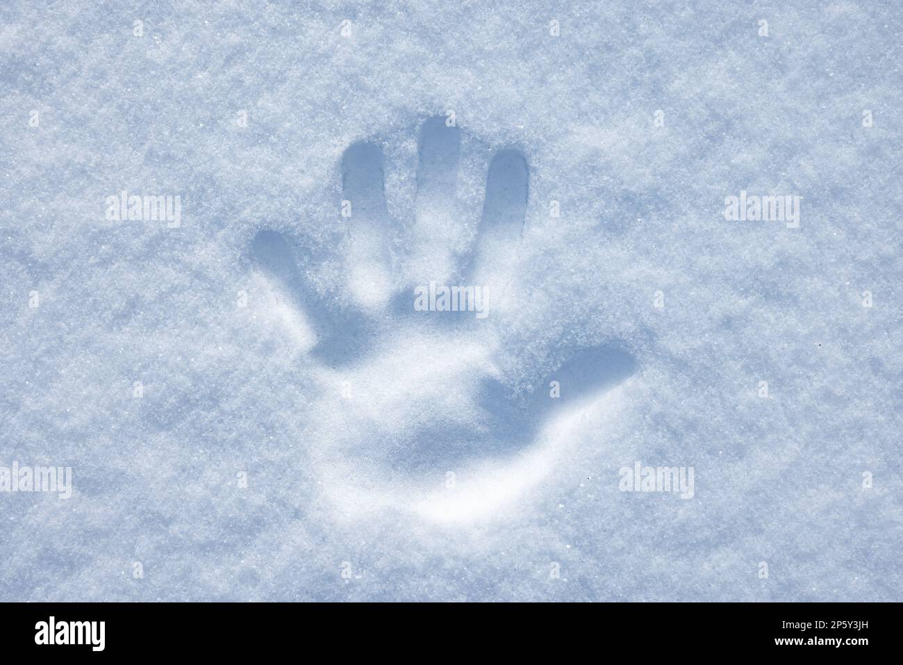 Hand print in a snowdrift on a sunny winter day; top view Stock Photo