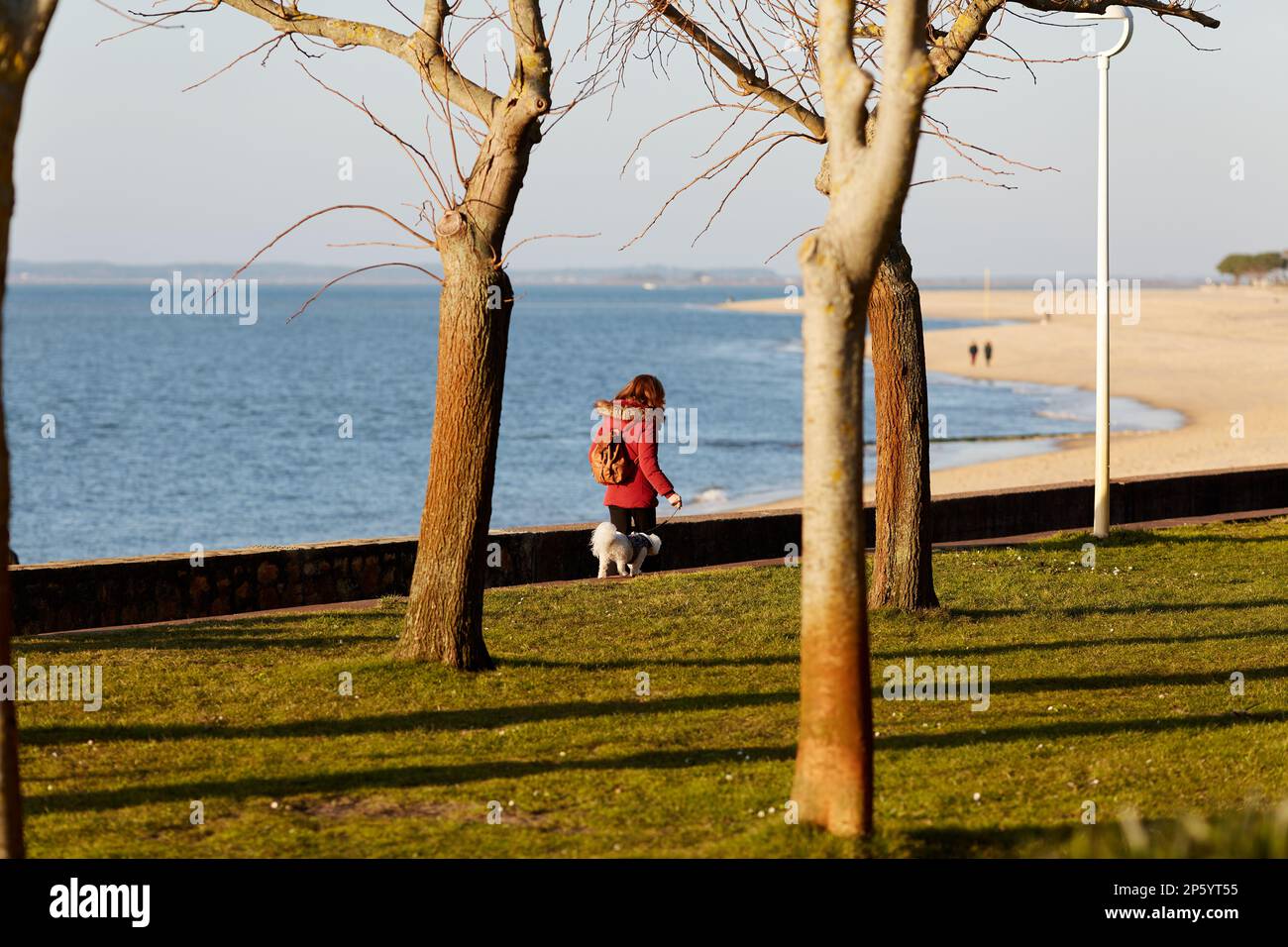 people walking on the promenade by the beach a sunny day Stock Photo ...