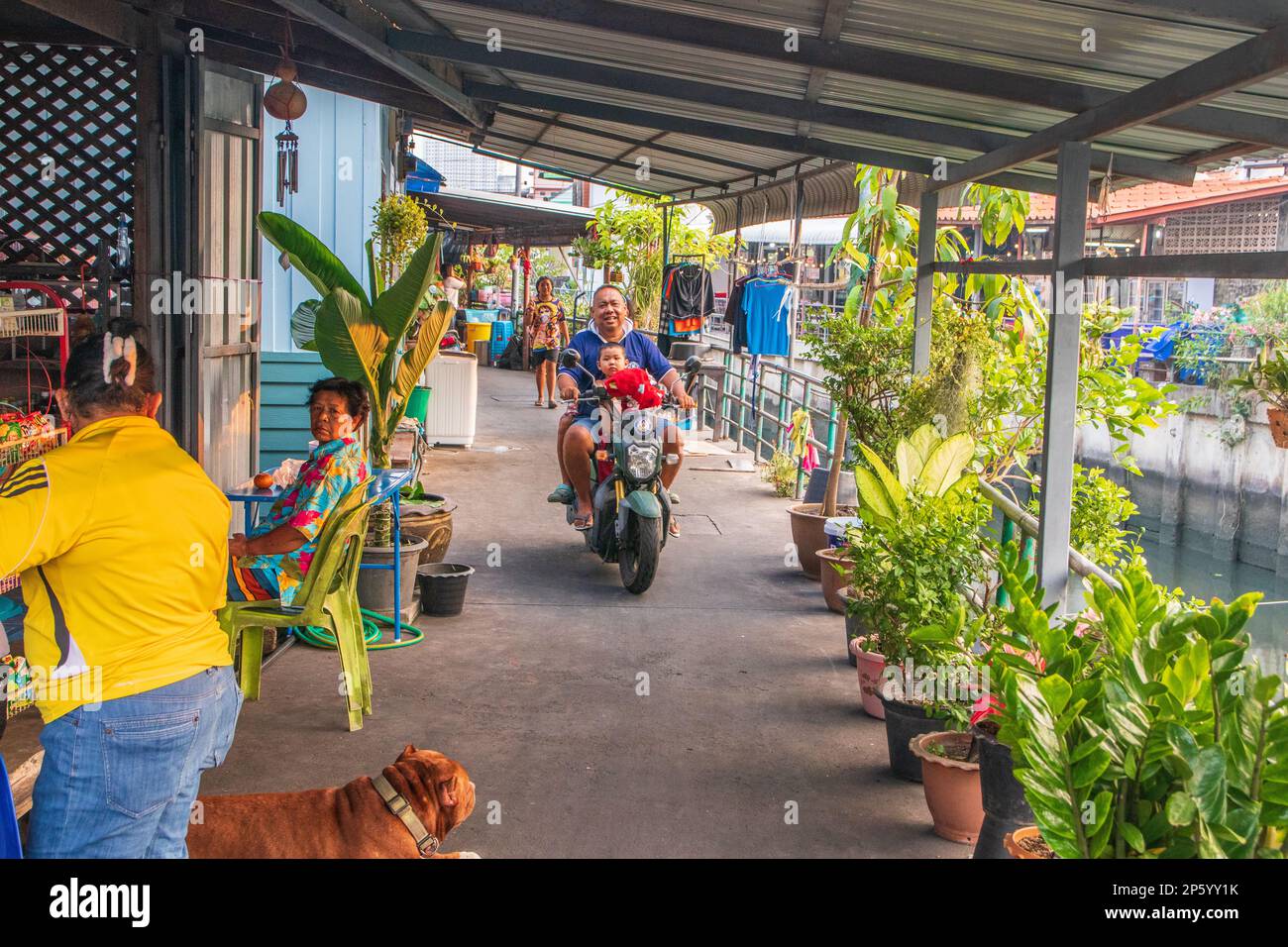 Several Thai people with a dog and a motorbike on a narrow path in a housing estate fvThaiand Asia Stock Photo