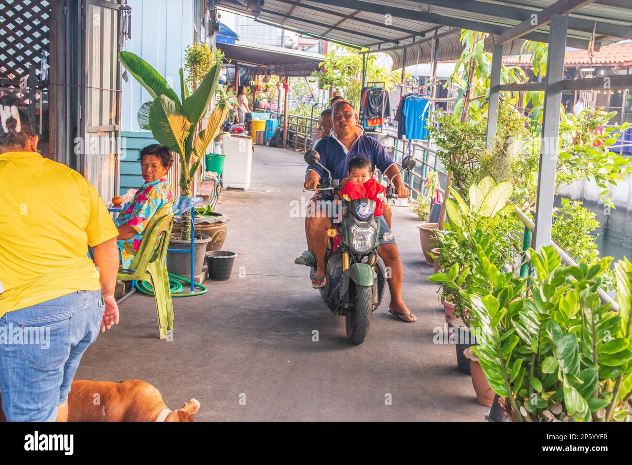 Several Thai people with a dog and a motorbike on a narrow path in a housing estate fvThaiand Asia Stock Photo