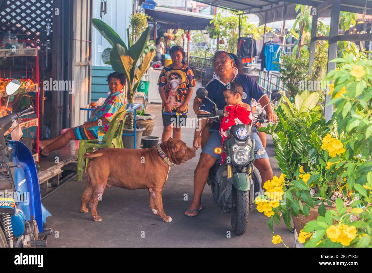Several Thai people with a dog and a motorbike on a narrow path in a housing estate fvThaiand Asia Stock Photo
