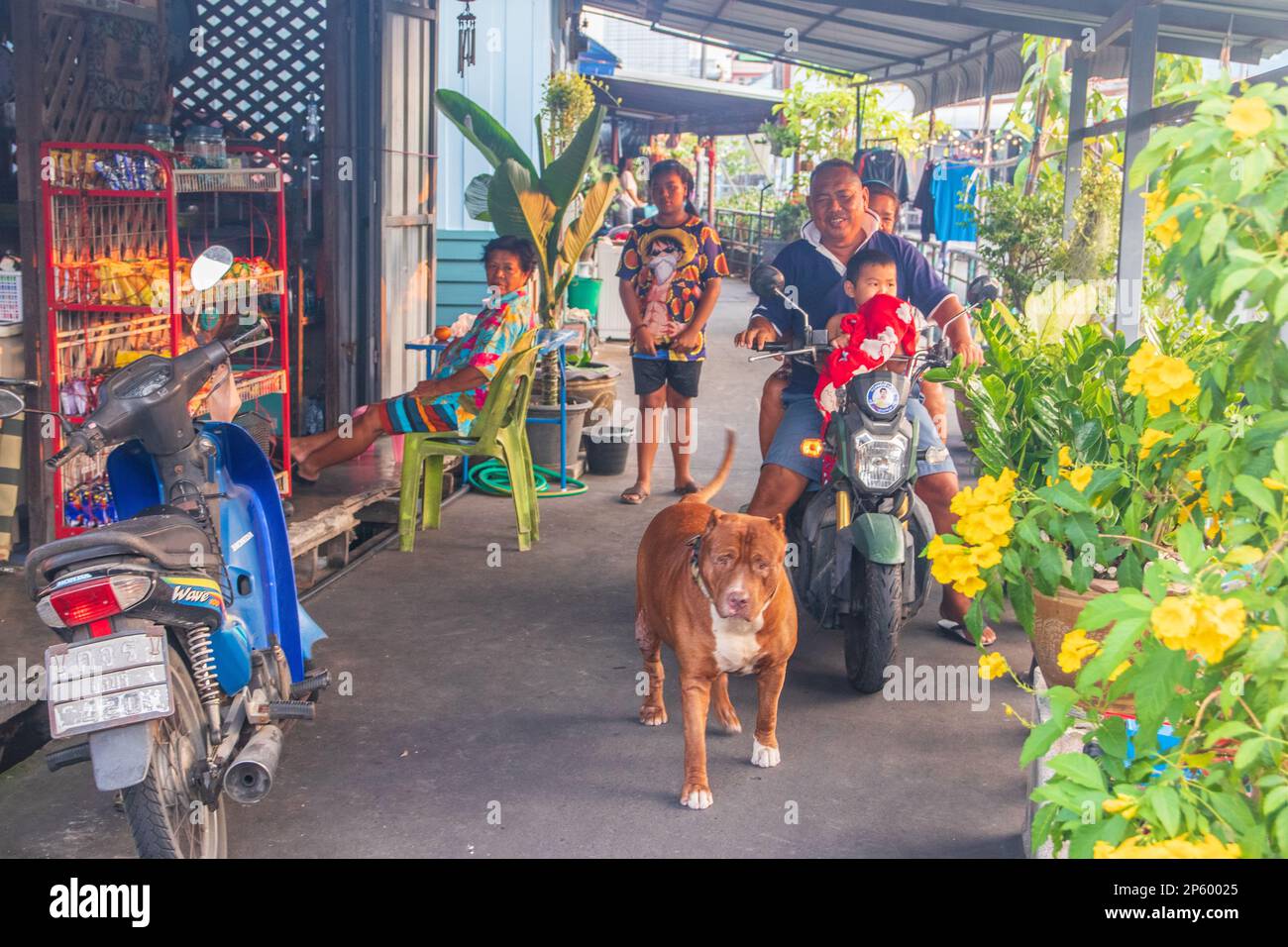 Several Thai people with a dog and a motorbike on a narrow path in a housing estate fvThaiand Asia Stock Photo