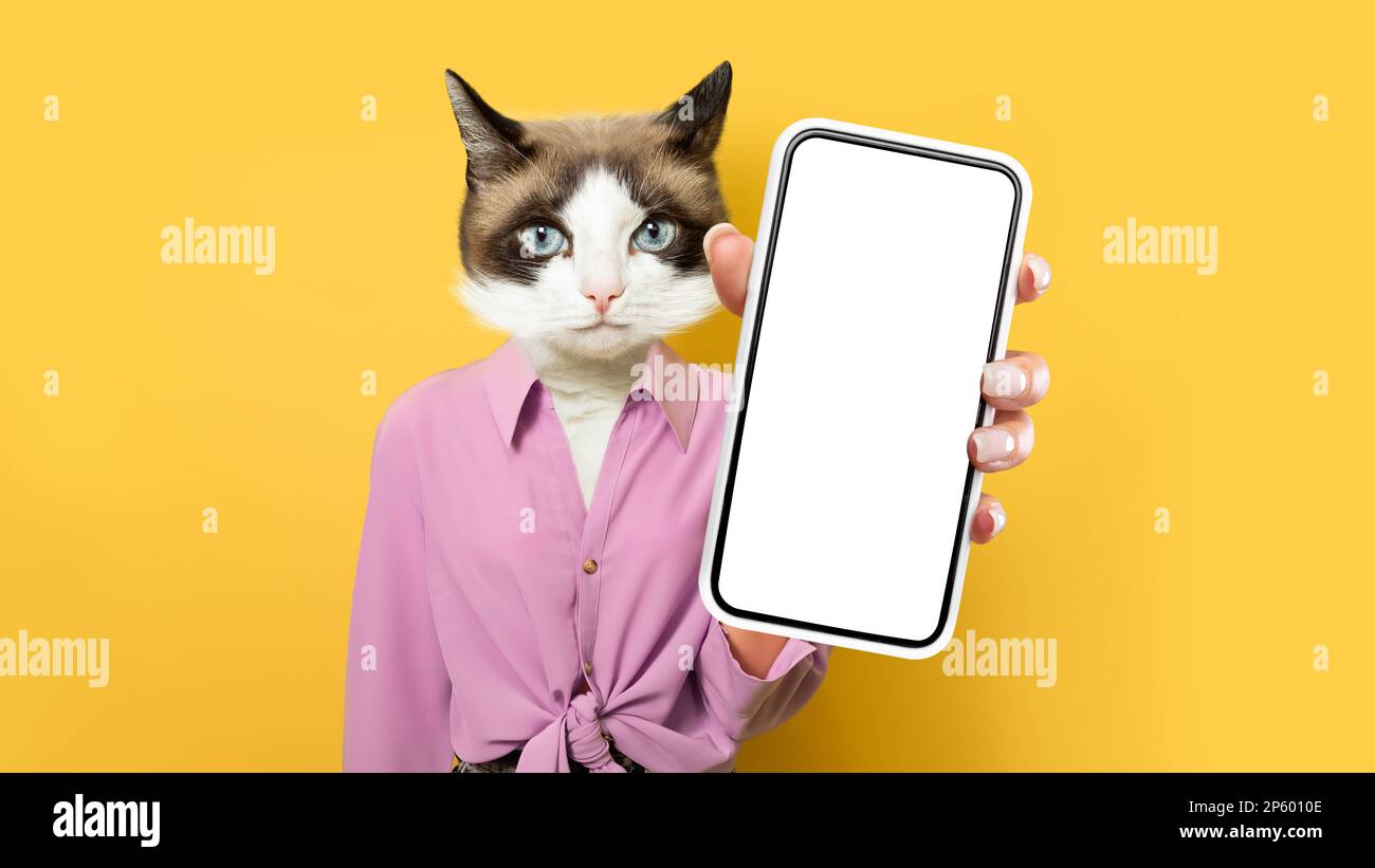 Cell phone pussy Cute pussy cat in pink blouse showing cell phone, mockup Stock Photo - Alamy