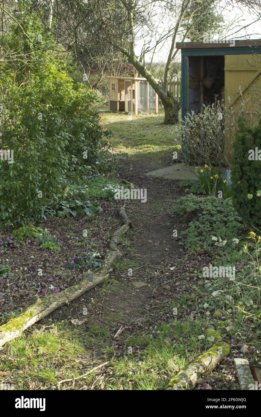 garden path of impacted soil and branch edging leading to winter garden with huts Stock Photo