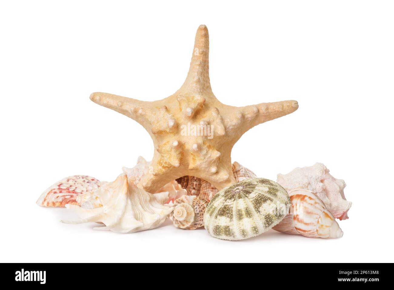 Beautiful starfish and sea shells on white background Stock Photo - Alamy