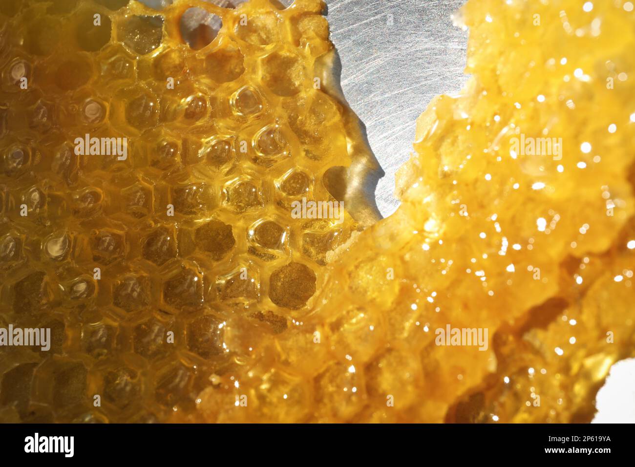 Uncapping honey cells with knife, closeup view Stock Photo