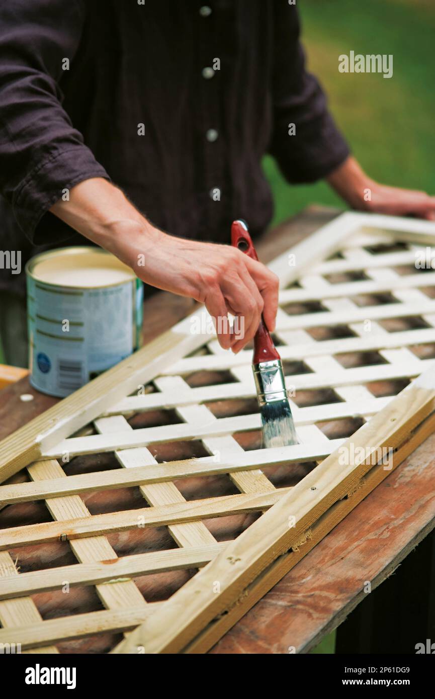 painting wooden trellis Stock Photo Alamy