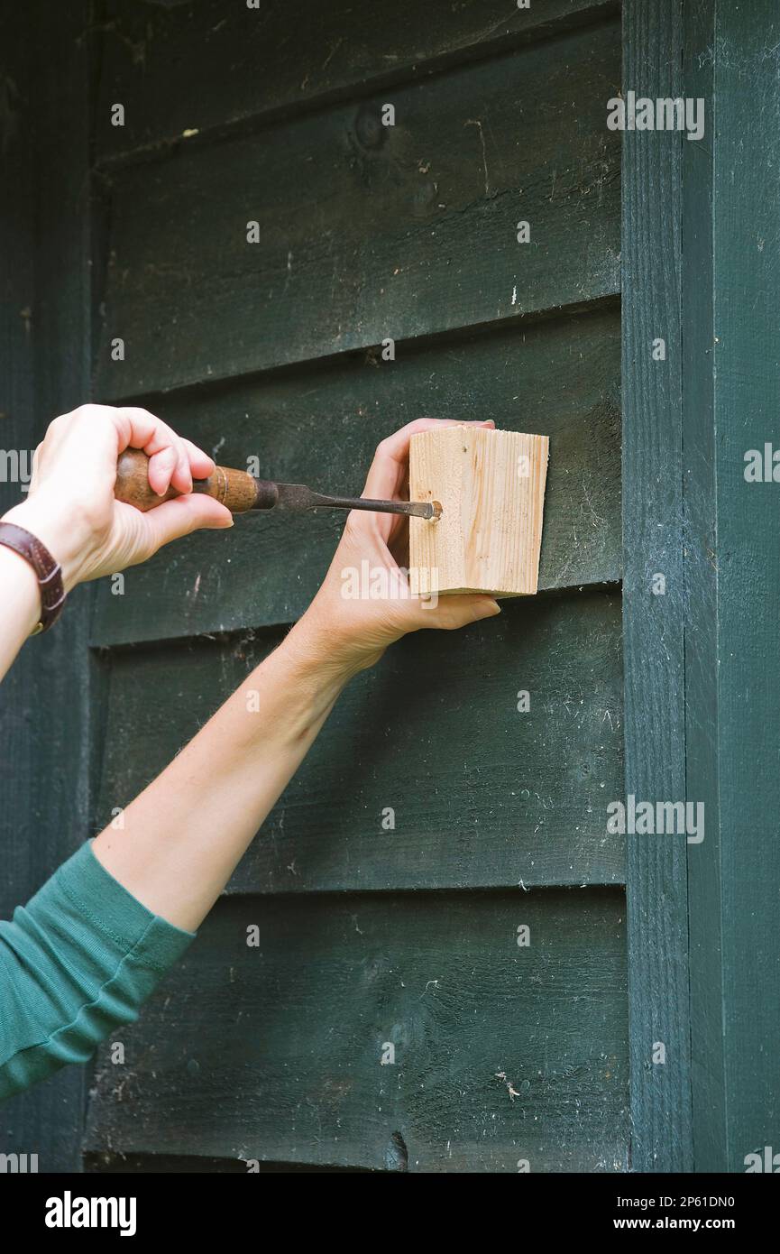 attaching wooden battens or blocks to structure so trellis stands proud