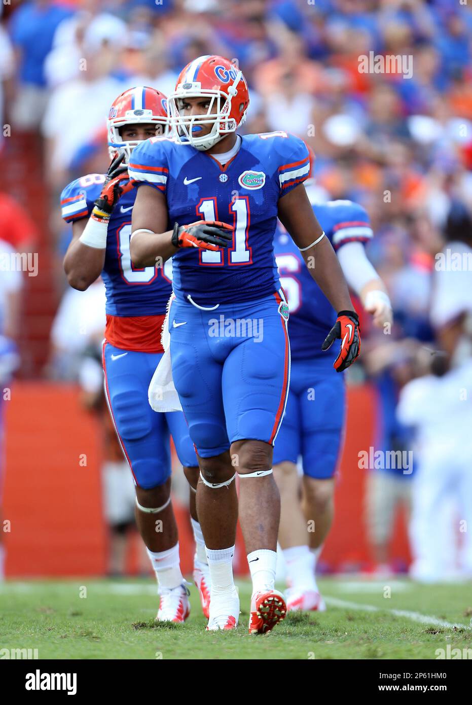 Florida Gators Jordan Reed 11 during an NCAA College football game against LSU in Gainesville Fla. Saturday Oct. 6 2012. Florida defeated LSU 14 6. AP Photo Tom DiPace Stock Photo Alamy