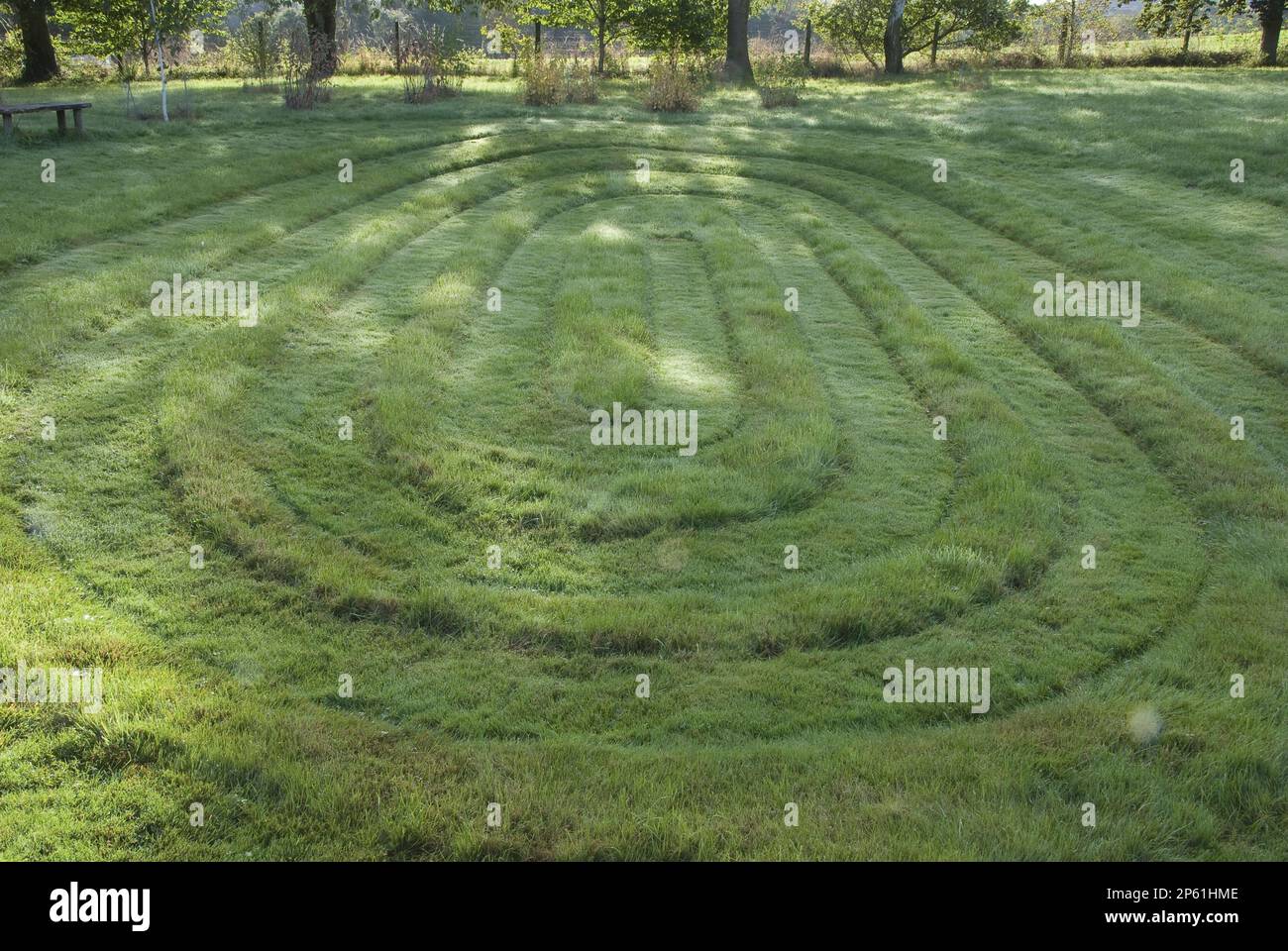 Oval grass trees hi-res stock photography and images - Alamy