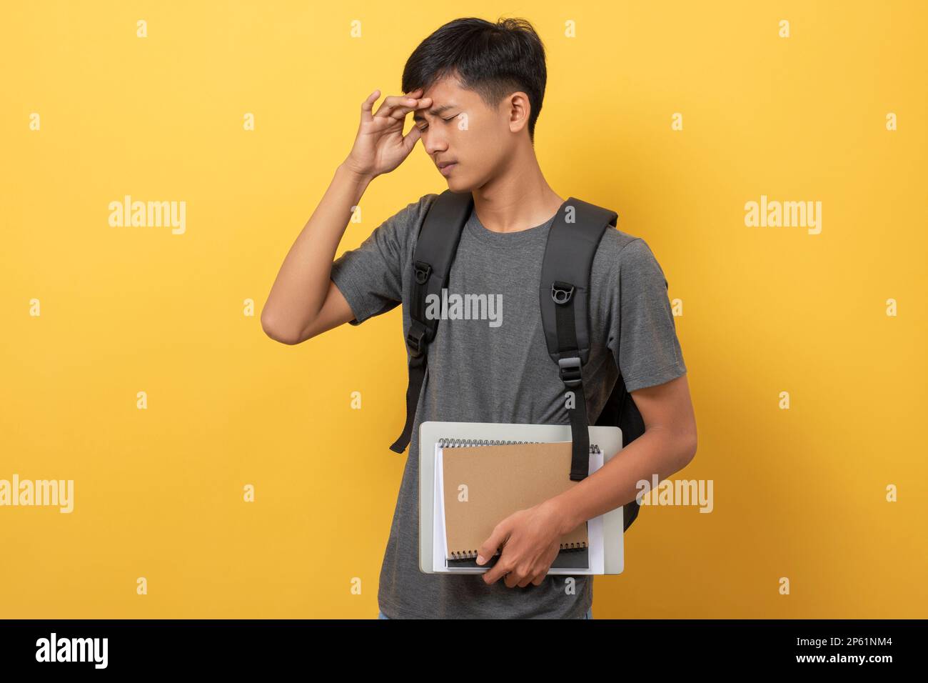 Smiling young college student with books and backpack isolated on ...