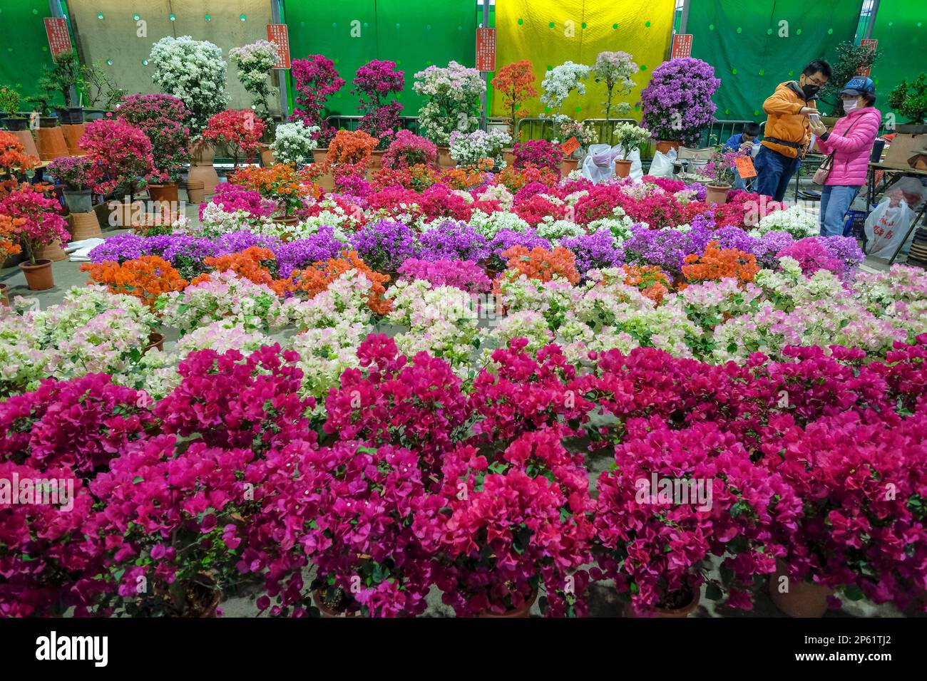 Taipei, Taiwan February 25, 2023 A woman buying flowers at the