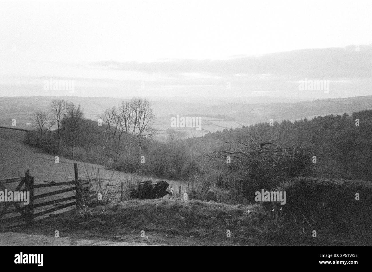 High Bickington, North Devon, England, United Kingdom Stock Photo Alamy