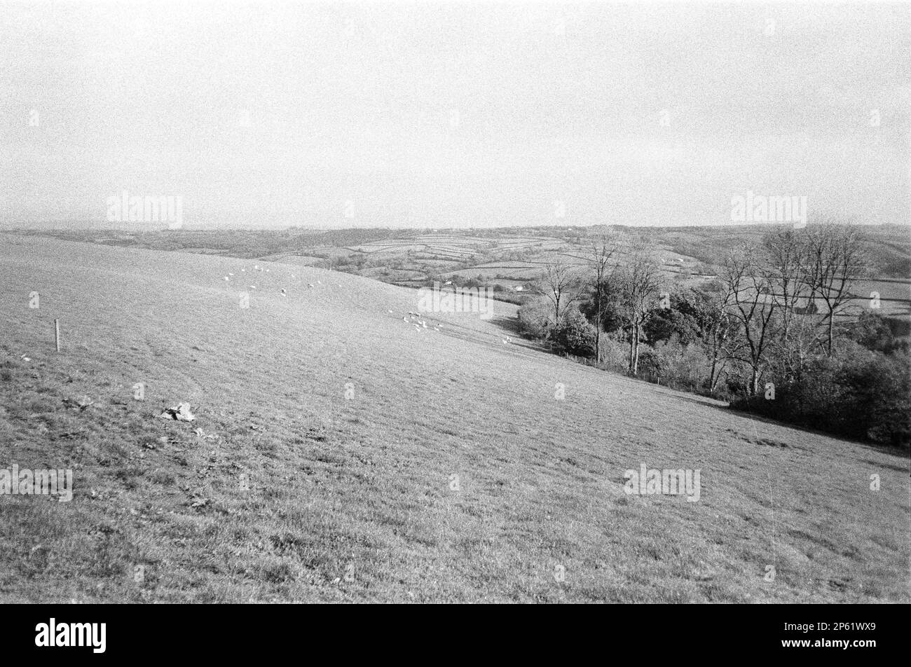 High Bickington, North Devon, England, United Kingdom Stock Photo - Alamy