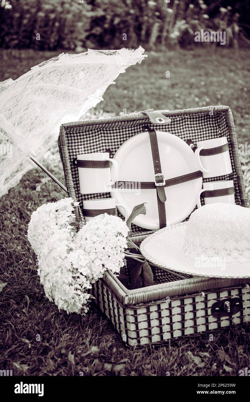 Black and white photo of romantic set with vintage picnic basket, lace sun umbrella and summer hat on park garden lawn on sunny summer day outdoors. Stock Photo