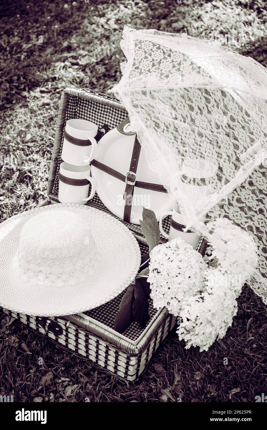 Black and white photo of romantic set with vintage picnic basket, lace sun umbrella and summer hat on park garden lawn on sunny summer day outdoors. Stock Photo