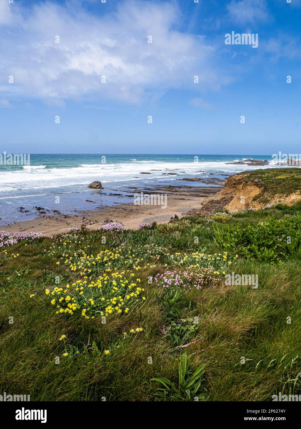 Bude marina hires stock photography and images Alamy