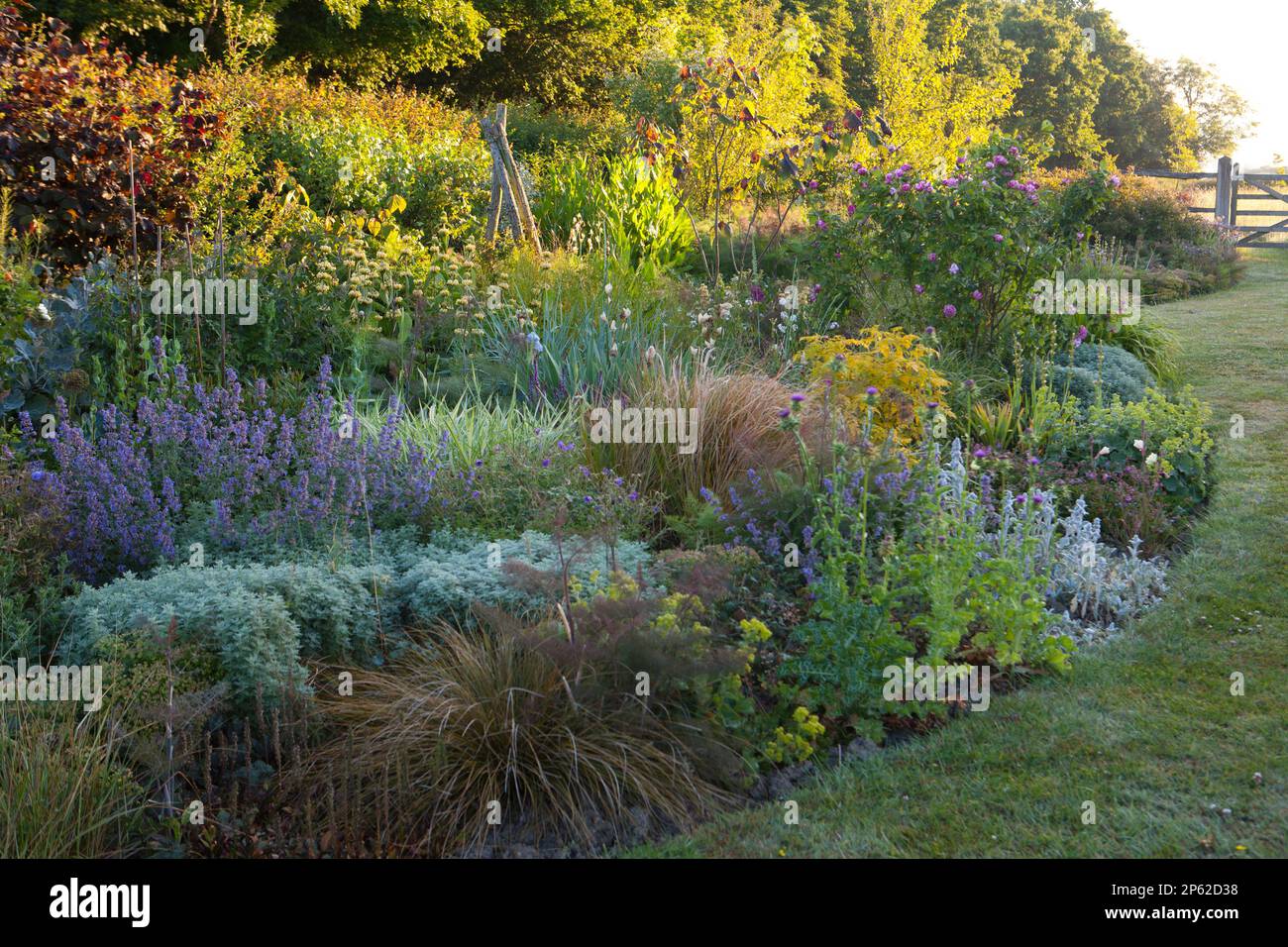 A beautifully planted cottage garden border in summer Stock Photo