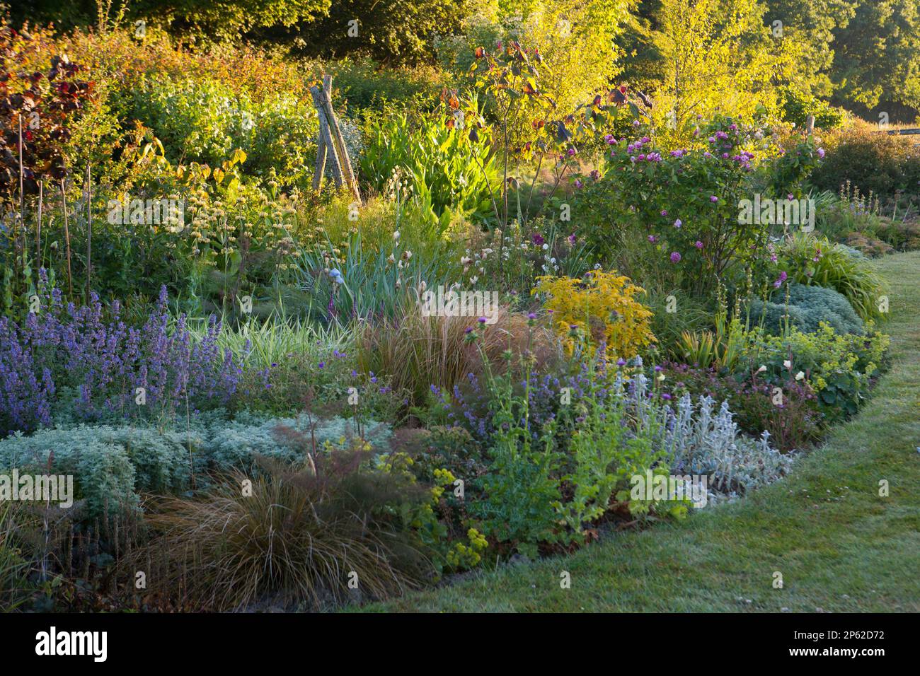 Summer border in full hi-res stock photography and images - Alamy