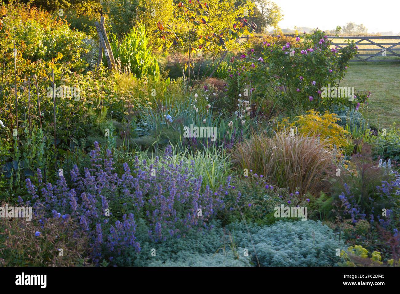 A beautifully planted cottage garden border in summer Stock Photo - Alamy