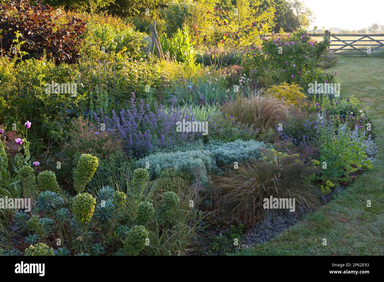 Summer border in full hi-res stock photography and images - Alamy
