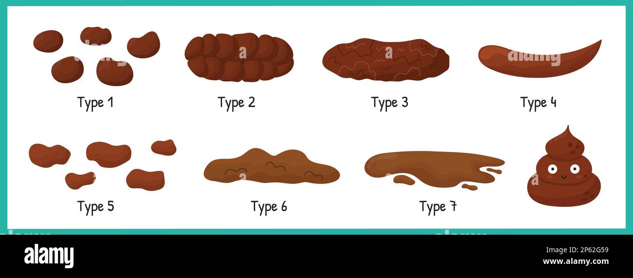 Bristol stool set with different types of poo. Human feces collection