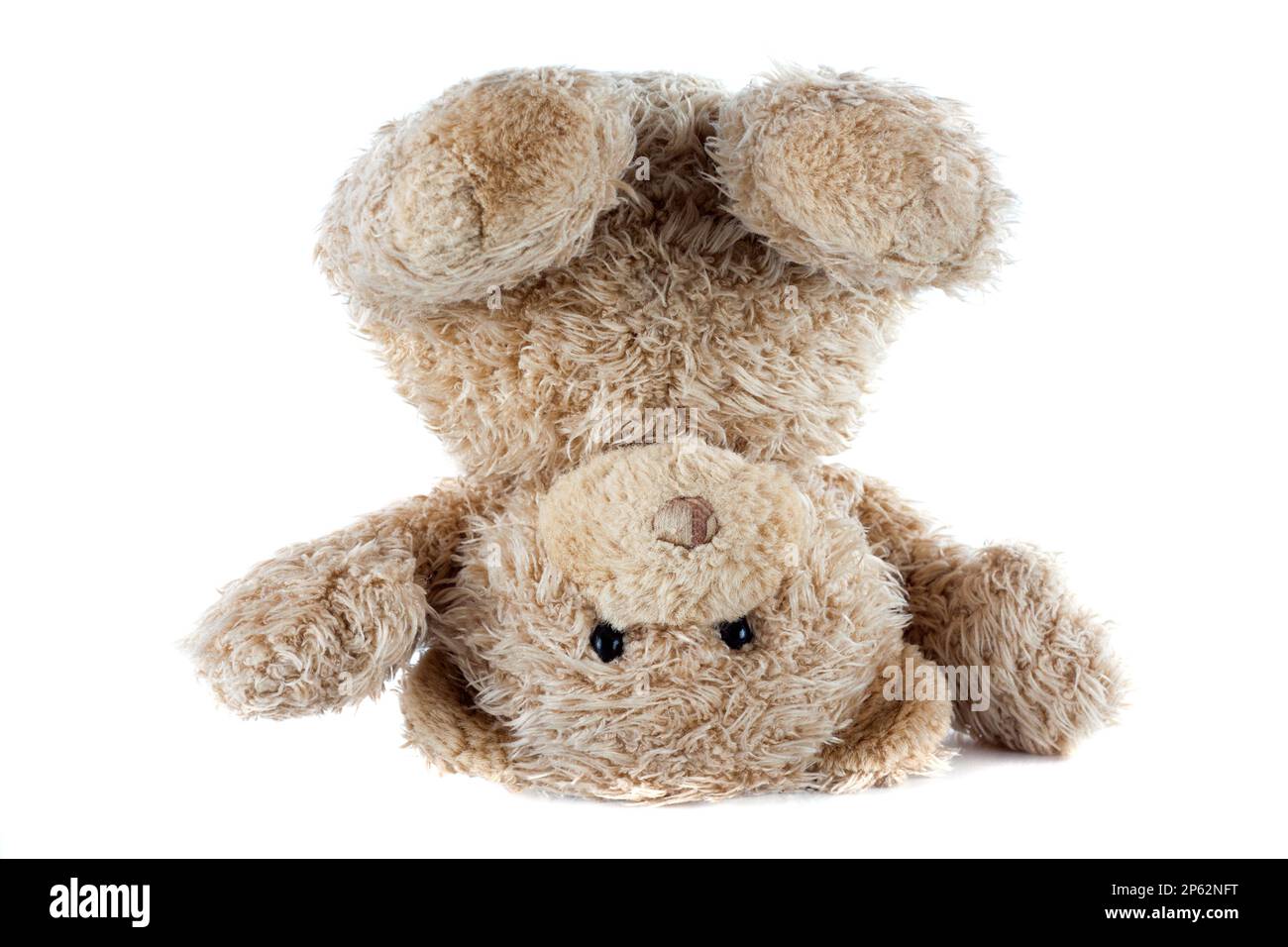 Funny Teddy Bear turned upside down isolated on white background Stock Photo