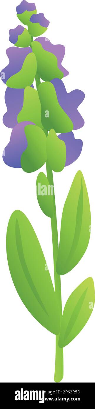 Spice sage icon cartoon vector. Leaf plant. Salvia aroma Stock 