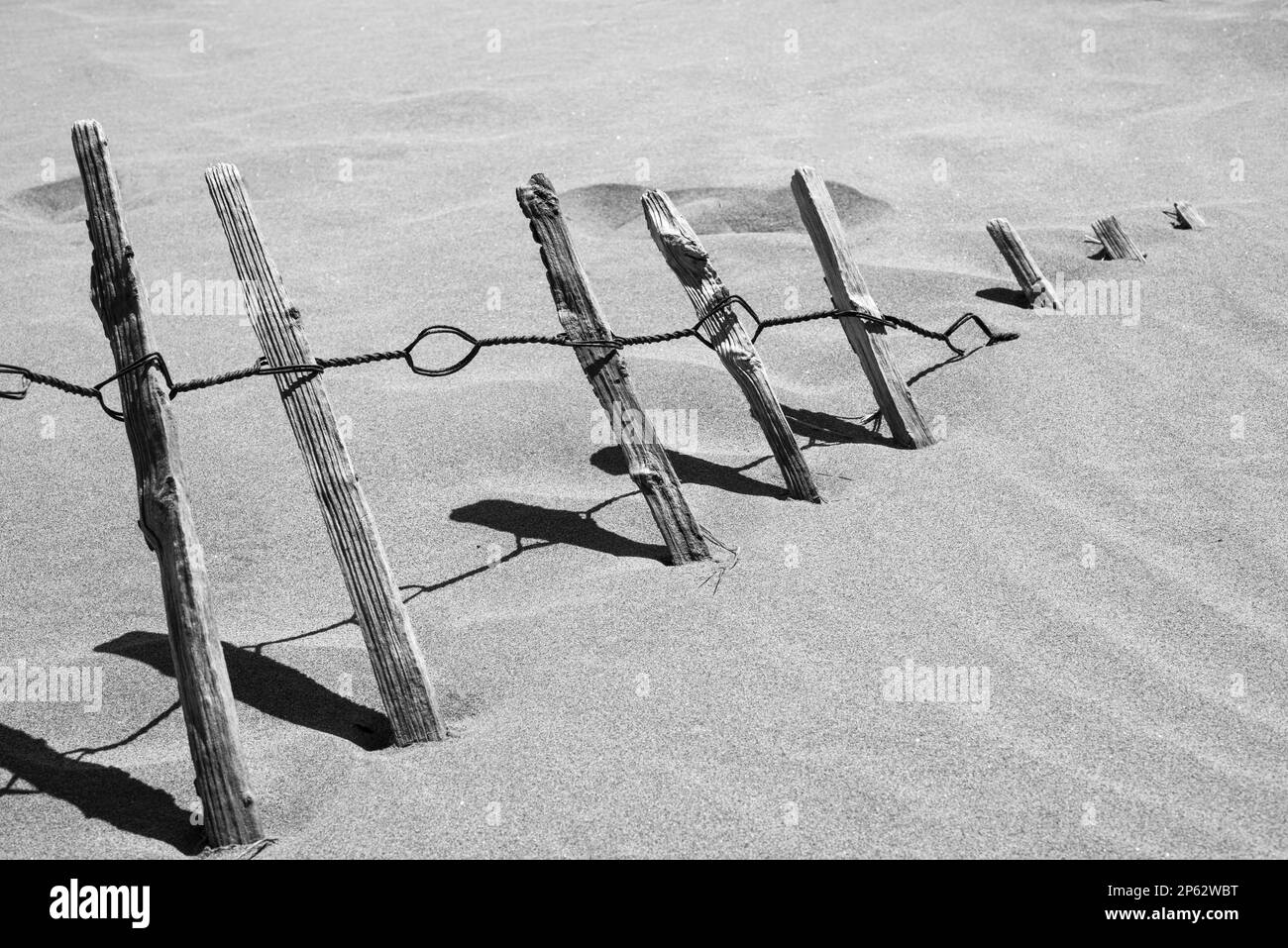 Old fence buried in the beach sand of camargue Stock Photo