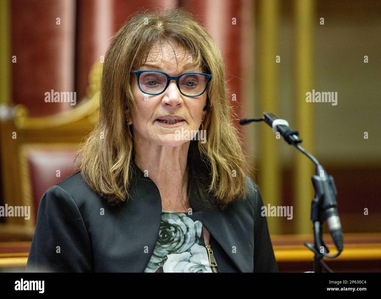 Mary Hornsey, the mother of Troubles victim Paul Maxwell, speaks in the Senate Chamber of the Northern Ireland Assembly during a Victims' Day event. 15-year-old Paul, from Enniskillen, was killed at the same time as Lord Mountbatten in a terrorist bomb explosion onboard the Shadow V, at Mullaghmore, County Sligo. Picture date: Tuesday March 7, 2023. Stock Photo