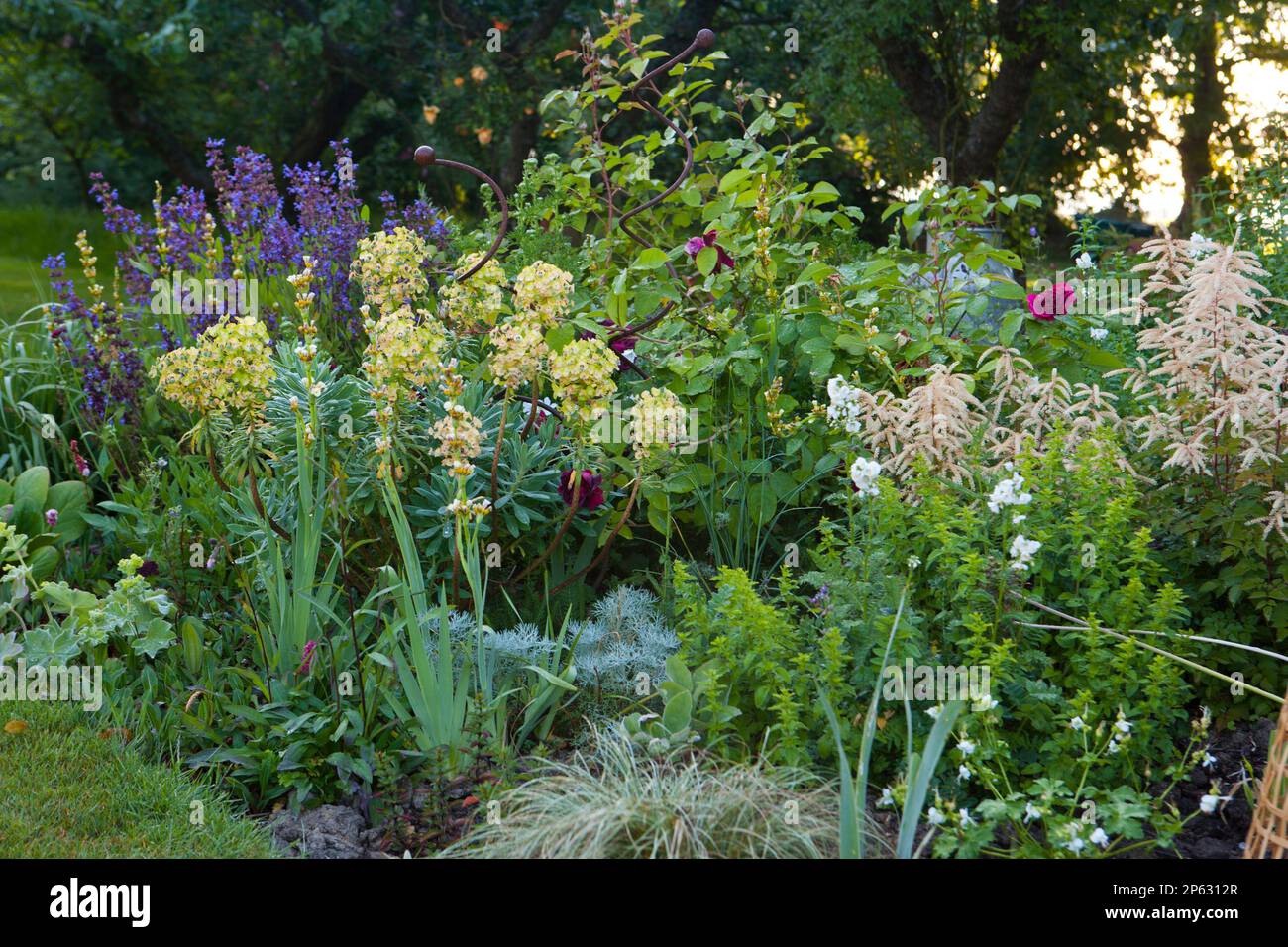 Sue Whigham garden Stock Photo Alamy