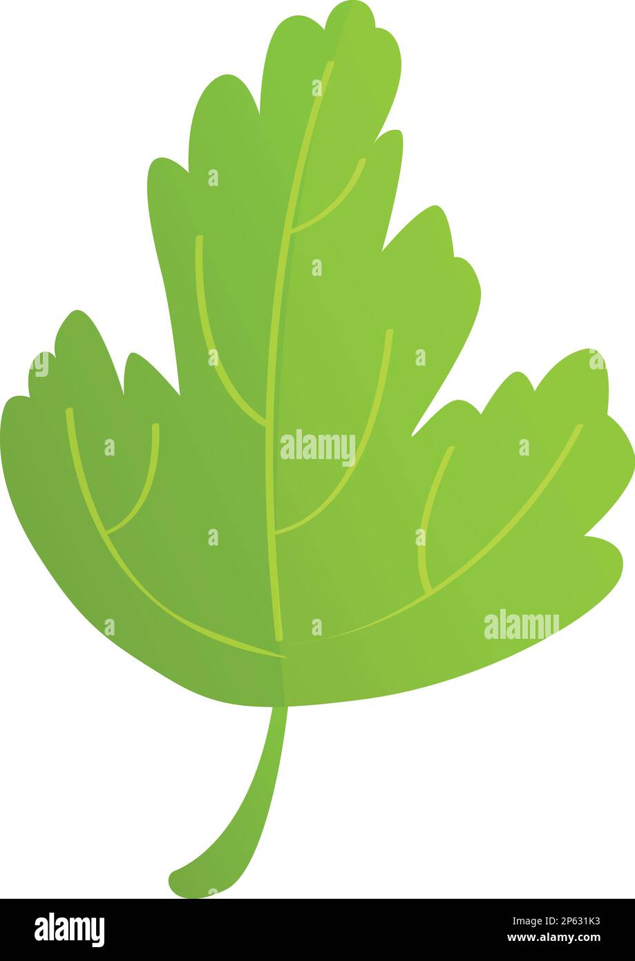 Cilantro parsley icon cartoon vector. Leaf plant. Herb food Stock Vector