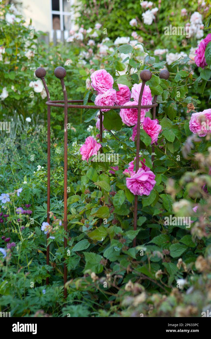 Sue Whigham garden Stock Photo Alamy