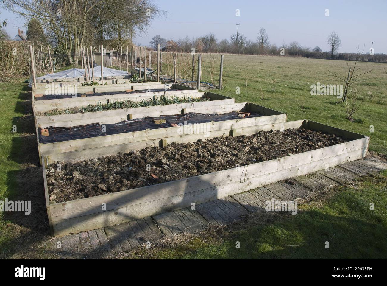 raised beds newly dug waiting to be planted in winter garden with field