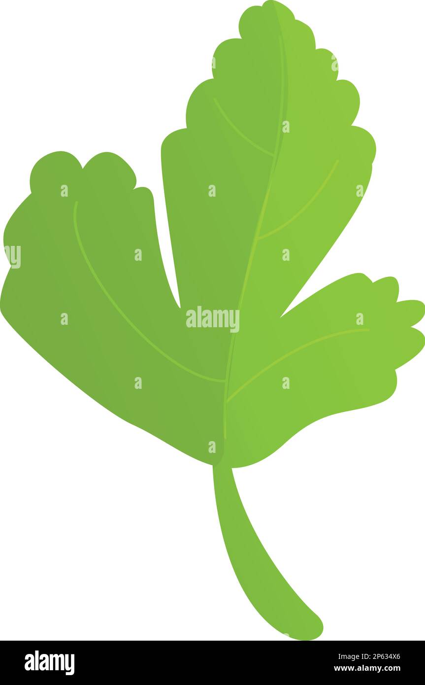 Green parsley icon cartoon vector. Plant leaf. Herb fresh Stock Vector