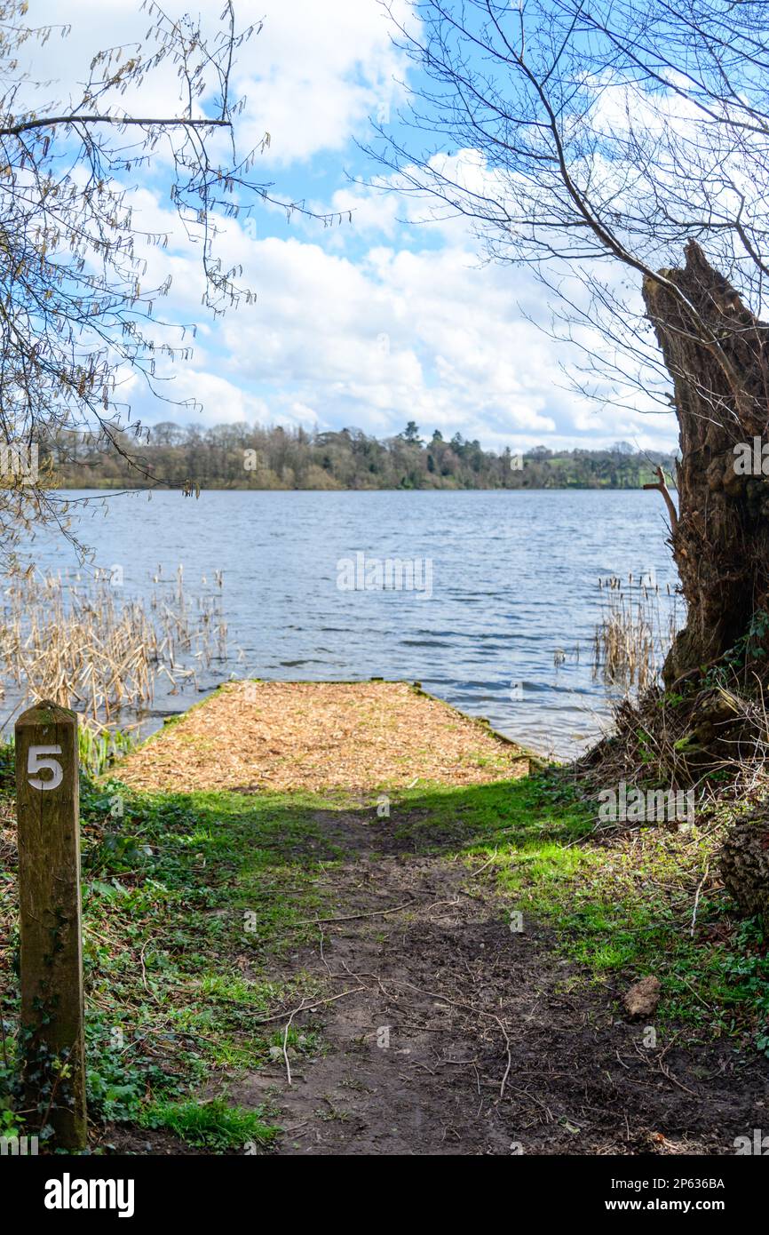 Fishing spot at Ellesmere lake Stock Photo Alamy