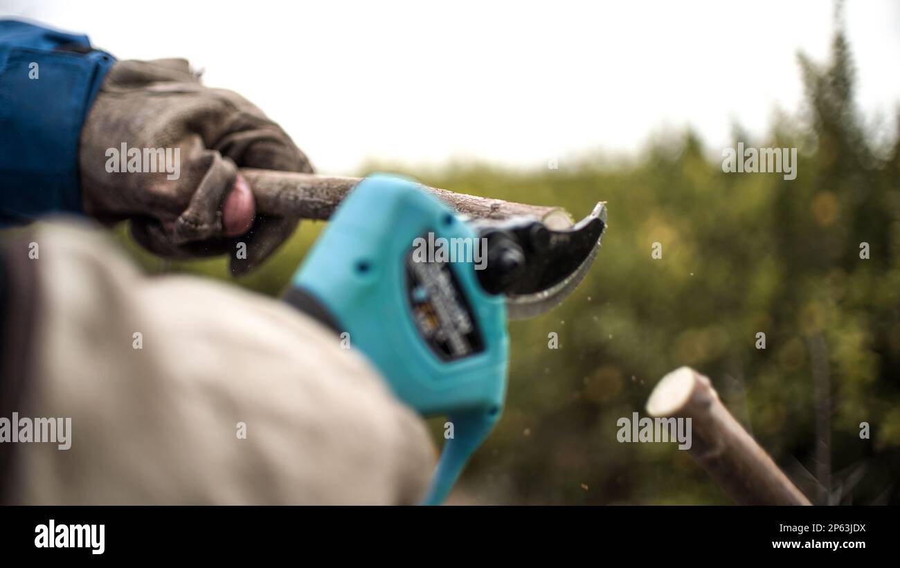 Farmer pruning trees with electric pruning shears branch cutter