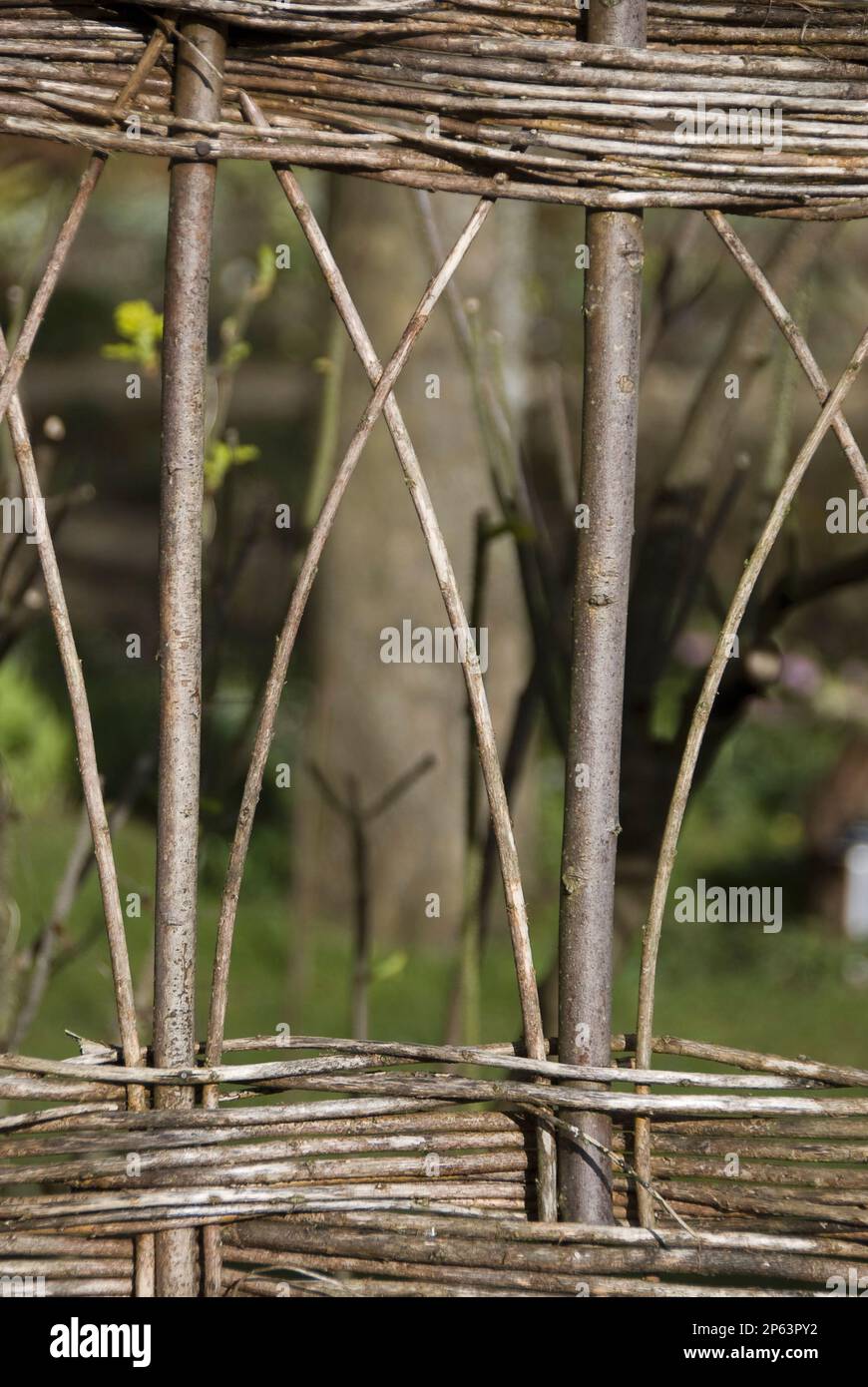Ornamental willow wooden trellis Stock Photo Alamy