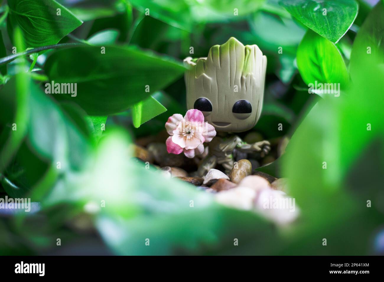 Baby groot hi-res stock photography and images - Alamy