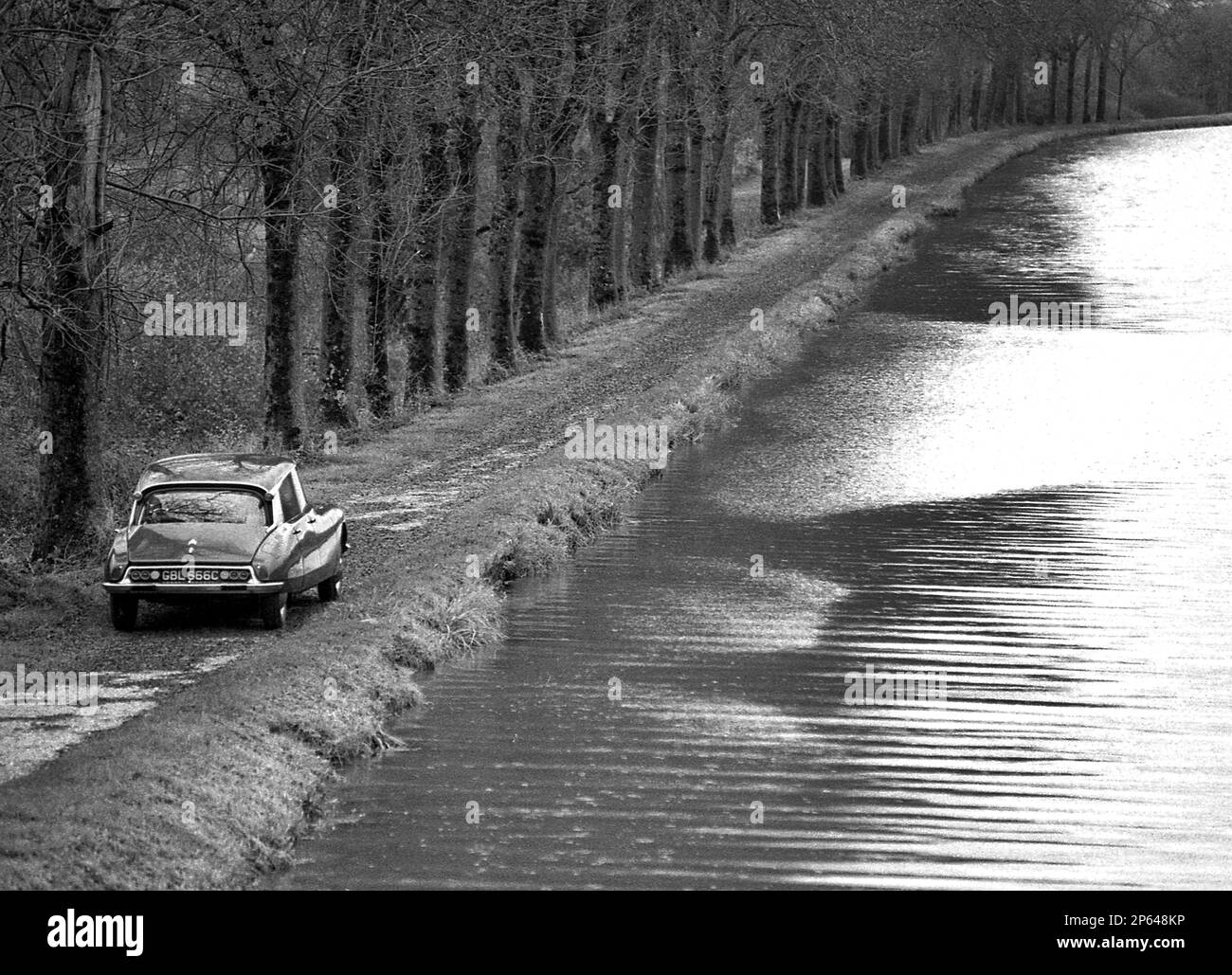 1964 CITROEN DS19 driving in France Stock Photo