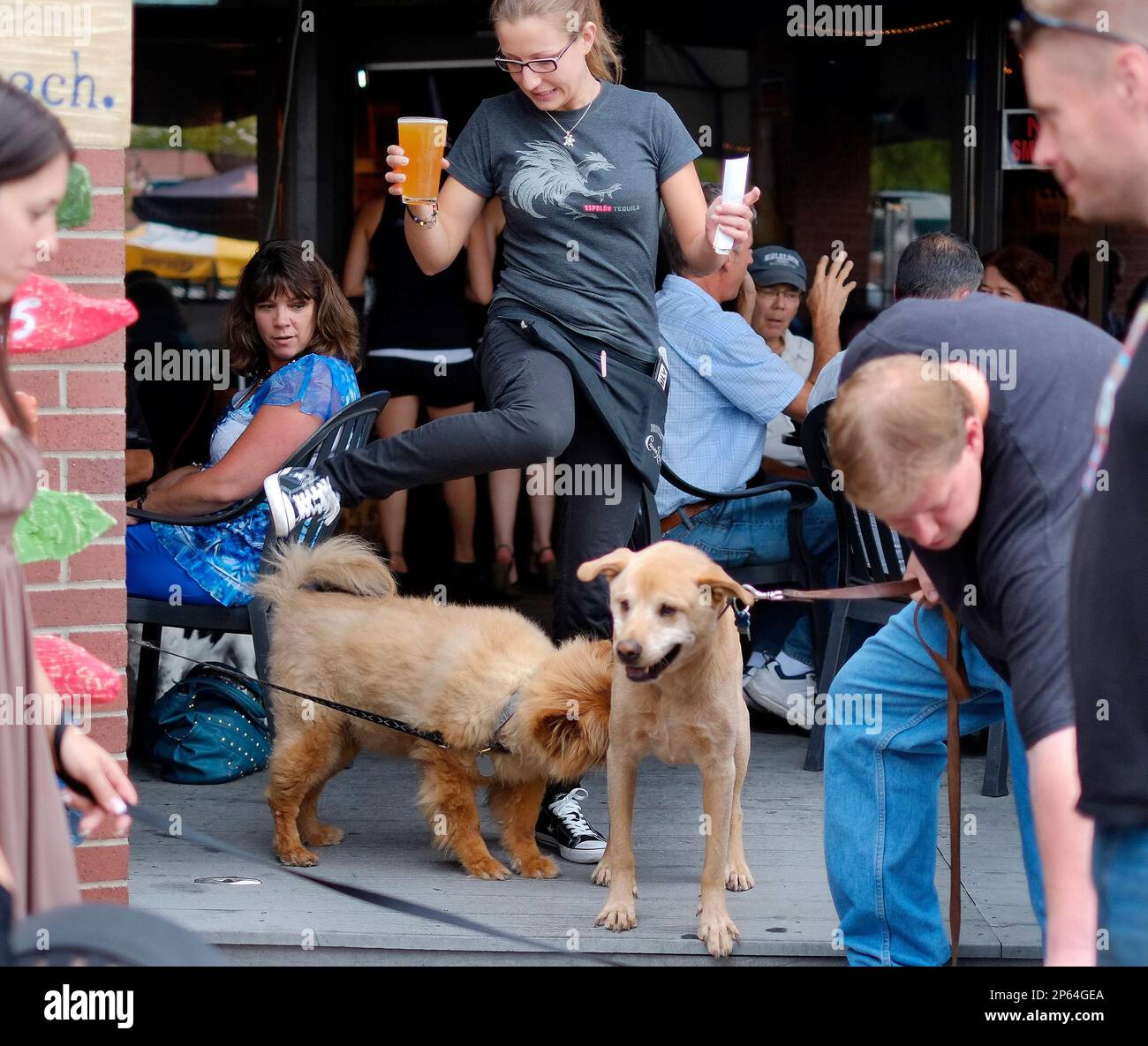 Happy Pets (2012)