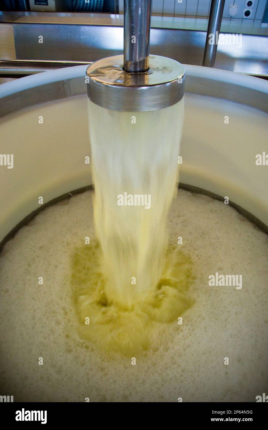 Switzerland, Canton Bern, Affoltern Im Emmental, dairy production of