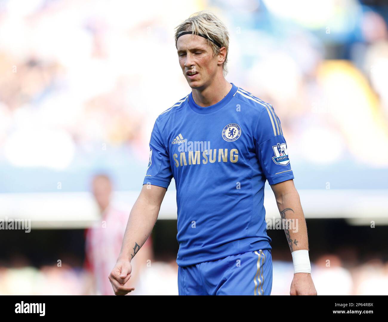Chelseas Fernando Torres in action..Football - Premier League - Chelsea v Stoke - Stamford Bridge